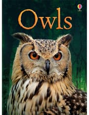 Owls product image