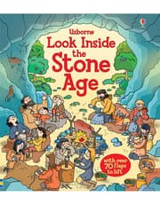 Look Inside the Stone Age product image