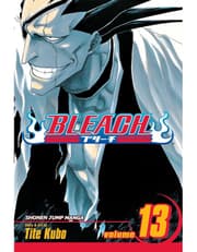 Bleach, Vol. 13: The Undead product image
