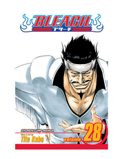 Bleach, Vol. 28 product image