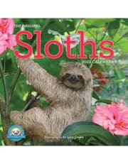 Original Sloths Wall Calendar 2025 product image