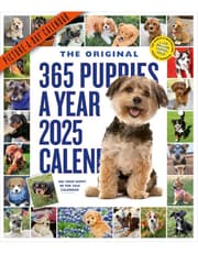 365 Puppies-A-Year Picture-A-Day® Wall Calendar 2025 product image