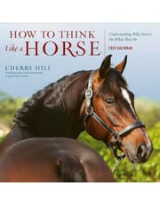 How to Think Like a Horse Wall Calendar 2025 product image