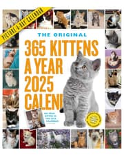365 Kittens-A-Year Picture-A-Day® Wall Calendar 2025 product image