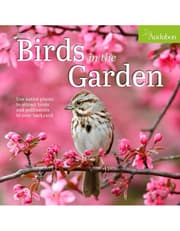 Audubon Birds in the Garden Wall Calendar 2025 product image