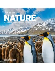 Audubon Nature Wall Calendar 2025 product image