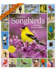 Audubon Songbirds and Other Backyard Birds Picture-A-Day® Wall Calendar 2025 product image