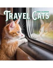 Travel Cats Wall Calendar 2025 product image