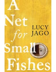 A NET FOR SMALL FISHES product image