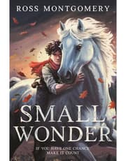 Small Wonder product image