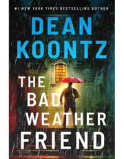 Bad Weather Friend product image