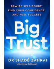 Big Trust product image