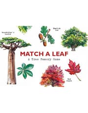 Match a Leaf product image