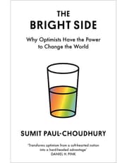 The Bright Side product image