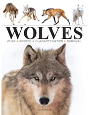 Wolves product image