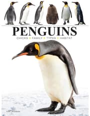 Penguins product image