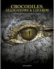 Crocodiles, Alligators & Lizards product image