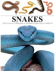 Snakes product image