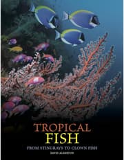 Tropical Fish: From Stingrays to Clown Fish product image