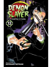 Demon Slayer: Kimetsu no Yaiba, Vol. 13 product image