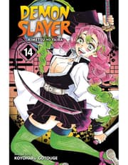 Demon Slayer: Kimetsu no Yaiba, Vol. 14 product image