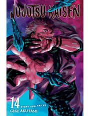 Jujutsu Kaisen, Vol. 14 product image