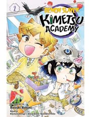 Demon Slayer: Kimetsu Academy, Vol. 2 product image
