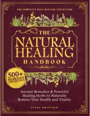 The Natural Healing Handbook product image
