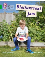 Blackcurrant Jam product image