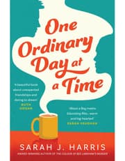 One Ordinary Day at a Time product image
