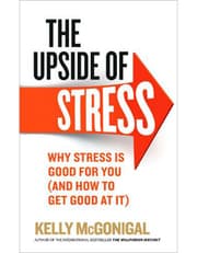 The Upside Of Stress product image
