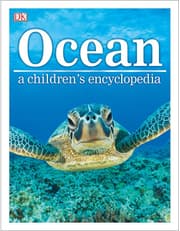 Ocean A Children's Encyclopedia product image