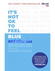 It's Not OK to Feel Blue (and other lies) product image