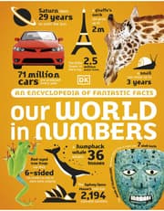 Our World in Numbers product image