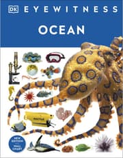 Ocean product image