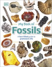 My Book of Fossils product image
