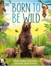 Born to be Wild product image