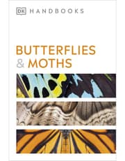 Butterflies And Moths product image