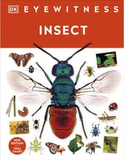 Insect product image