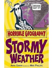 Stormy Weather product image