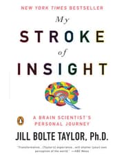 My Stroke of Insight product image