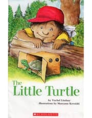 The Little Turtle product image