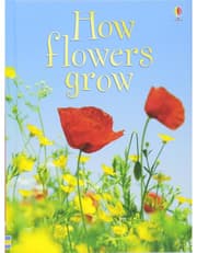 How Flowers Grow product image