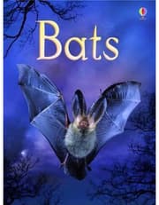 Bats product image