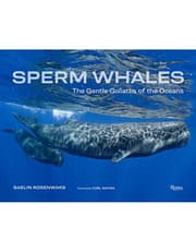 Sperm Whales product image