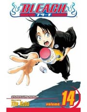 Bleach, Vol. 14 product image