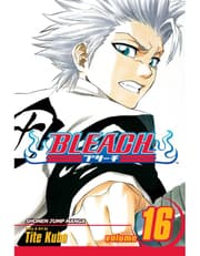 Bleach, Vol. 16: Knight Of Wijnruit product image