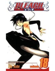Bleach, Vol. 18 product image