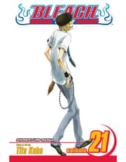 Bleach, Vol. 21: Be My Family Or Not product image