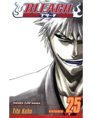 Bleach, Vol. 25 product image